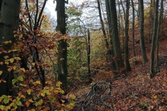 Wanderung vom 27.10.2024