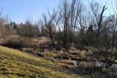 Wanderung Michelau