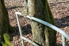 Wanderung Michelau