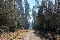 Wanderung Michelau
