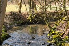 Wanderung Michelau