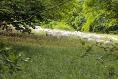 Südweg-Wanderung