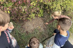 Wanderung Staffelberg