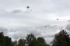 Drachen steigen lassen