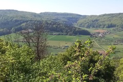 Kirschbluetenweg-1