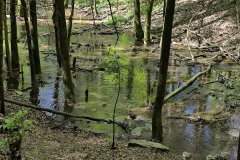 Kirschbluetenweg-12