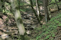 Kirschbluetenweg-13