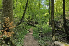 Kirschbluetenweg-14
