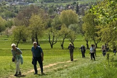 Kirschbluetenweg-8