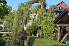 Südwegwanderung