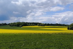 Südwegwanderung