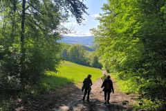 Südwegwanderung