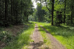 Wanderung-12