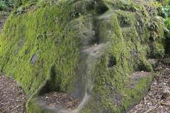 Wanderung-2