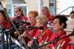 Musik-vor-Rathaus-6