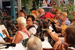 Altstadtfest-1
