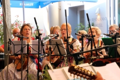 Altstadtfest-2